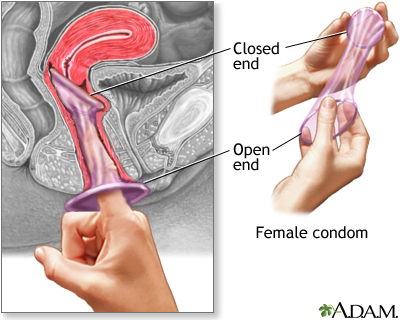 Where To Put The Penis In The Vagina 97