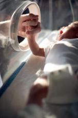 Fotografía de un recién nacido en una incubadora siendo acariciado