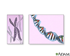 Ilustración de cromosomas y ADN