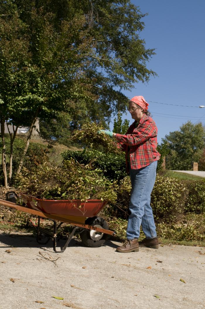 An older woman, working in her yard, wearing work boots, blue jeans, flannel shirt, and work gloves, with a bandana on her head, is trimming back bushes and placing the foliage into a wheel barrow.