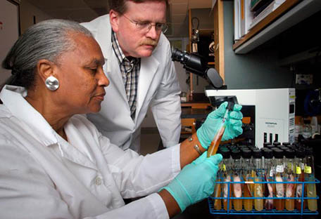A lab technician, wearing a white lab coat and medical gloves, is seated, holding a vial from a tray of specimens, while another lab technician, also wearing a white lab coat, is standing near her, leaning over so he can get a closer look.