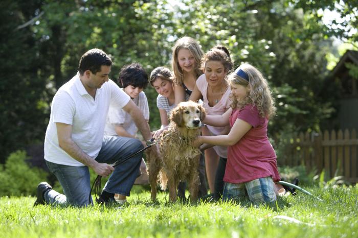 A family is in the backyard washing the dog. The mother, father, three daughters and a son are all helping to wash the dog and the father is also holding the dog's leash.