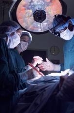 Photograph of a female nurse handing a surgeon a tool