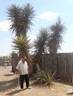 Color photograph of a man in a white shirt and baseball cap standing in front of a few large yucca plants.