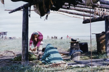 Della Keats, daughter, and Jenny Mitchell, mother, preparing fish at [Sheshalik] Noatak camp 1952.