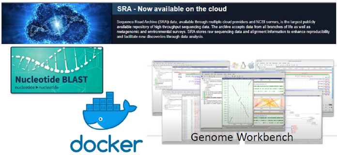 NCBI offers several tools for use in the cloud including the SRA database, BLAST, Genome Workbench, and several other tools in Docker containers