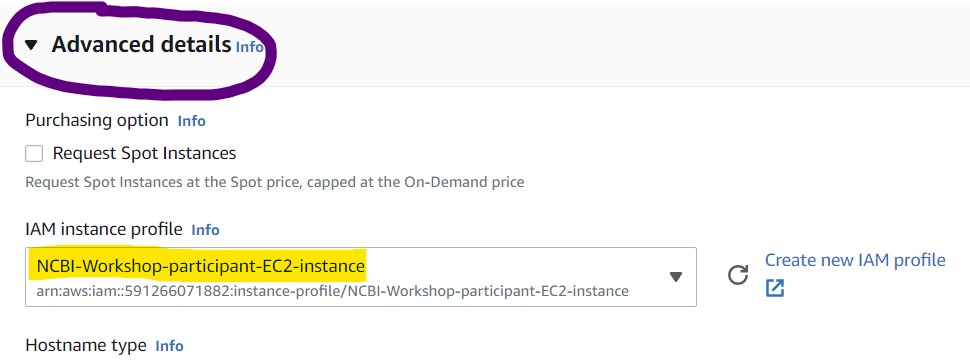 Showing "Advanced Details" panel open and the IAM Instance Profile set to "NCBI-Workshop-participant-EC2-instance"