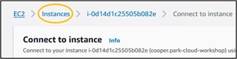 Highlighting the "Instances" hyperlink at the top of the EC2 instance connect page