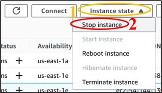 Highlighting to select the "Instance State" button then select the "Stop Instance" option from the drop down menu