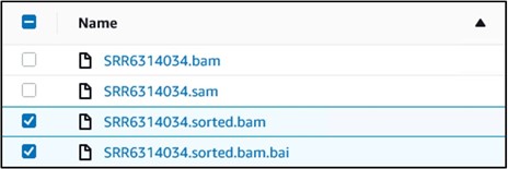 Highlighting that the ".sorted.bam" and ".sorted.bam.bai" files should be selected using the checkboxes on the left hand side of the file names