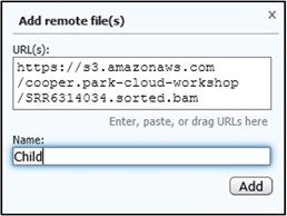 Adding a name "Child" to the remote file box in the GDV webpage