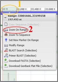 Highlighting the sequence range covered at the top of the tracks panel and the "Zoom on Range" option from the drop down menu