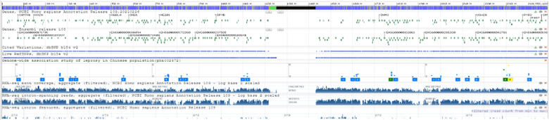 Small screenshot of Genome Data Viewer example featuring multiple tracks on display