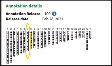 Highlighting the Chromosome 7 graphic in the Human selection on GDV