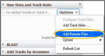 Highlighting the "Add Remote Files" option from the options tab