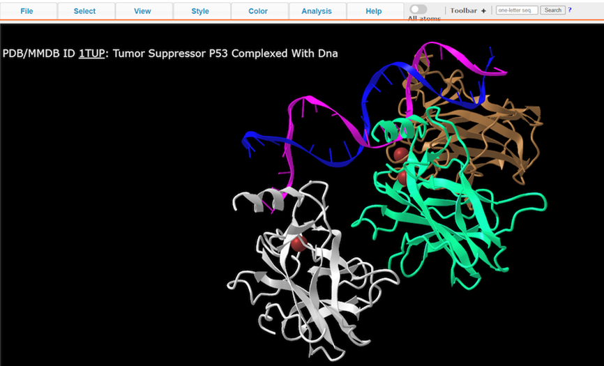 Screenshot from the iCn3D website, ITUP biomolecule with chain coloring