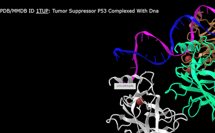 Screenshot from the iCn3D website, ITUP biomolecule, LEU289@N
