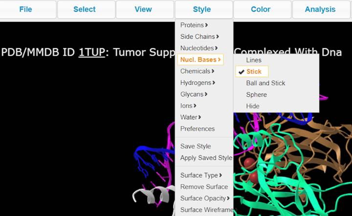Screenshot from the iCn3D website, ITUP biomolecule, Style > Nucl. Bases > Stick