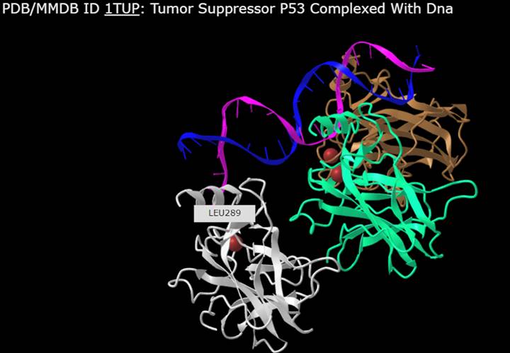 Screenshot from the iCn3D website, ITUP biomolecule, chain coloring