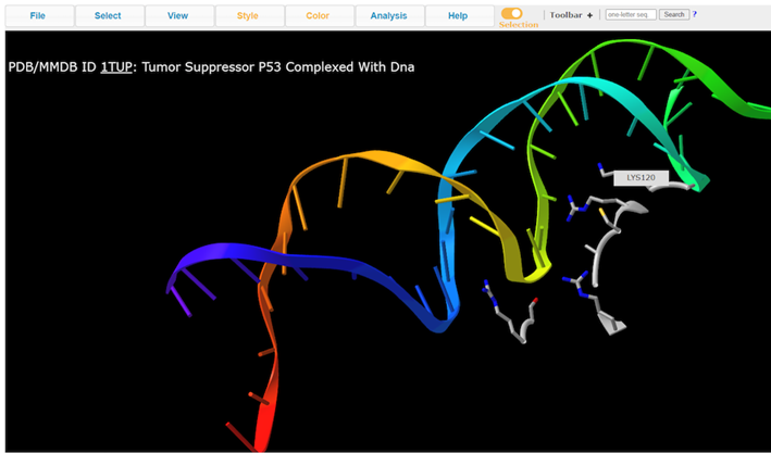 Screenshot from the iCn3D website, Residues interacting with the DNA major groove