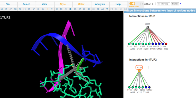 Screenshot from the iCn3D website,  Interactions in mutated of 1TUP2