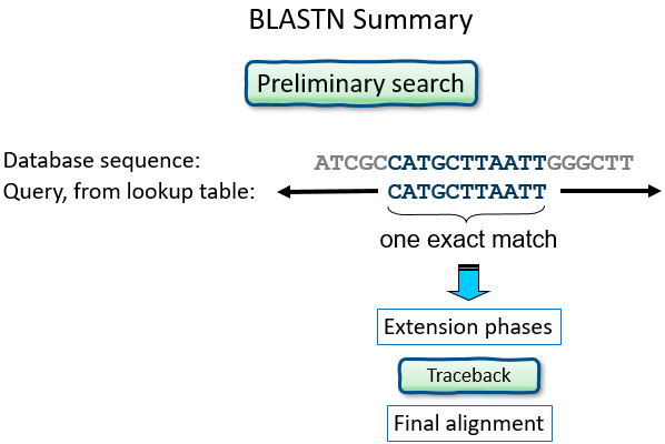 BLASTn Overview image