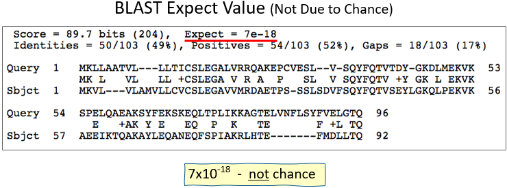 Example E-value not due to chance