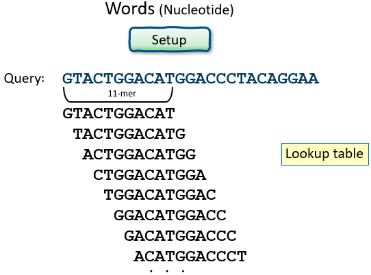 Nucleotide query word size