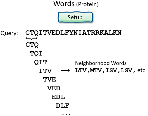 Protein query word size