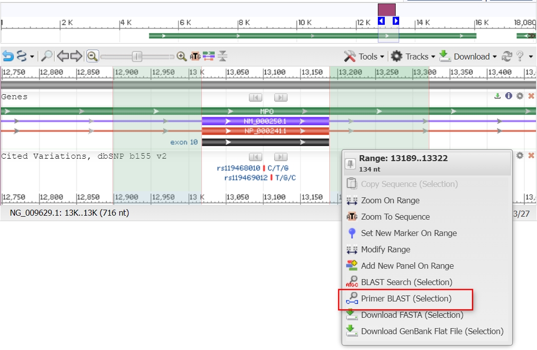 Image of graphical sequence viewer showing highlighted flanking sequence to send to Primer-BLAST