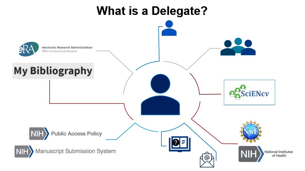 Diagram of what a delegate does