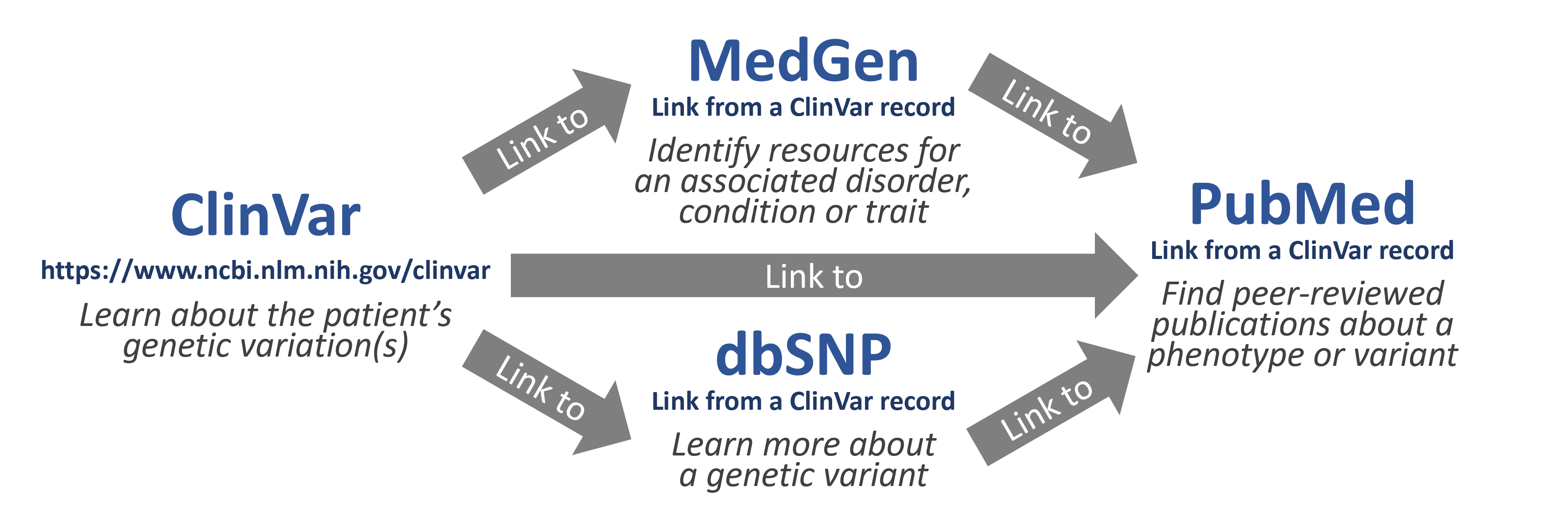 Workflow for Lightning Round steps: ClinVar, Medgen, PubMed or dbSNP