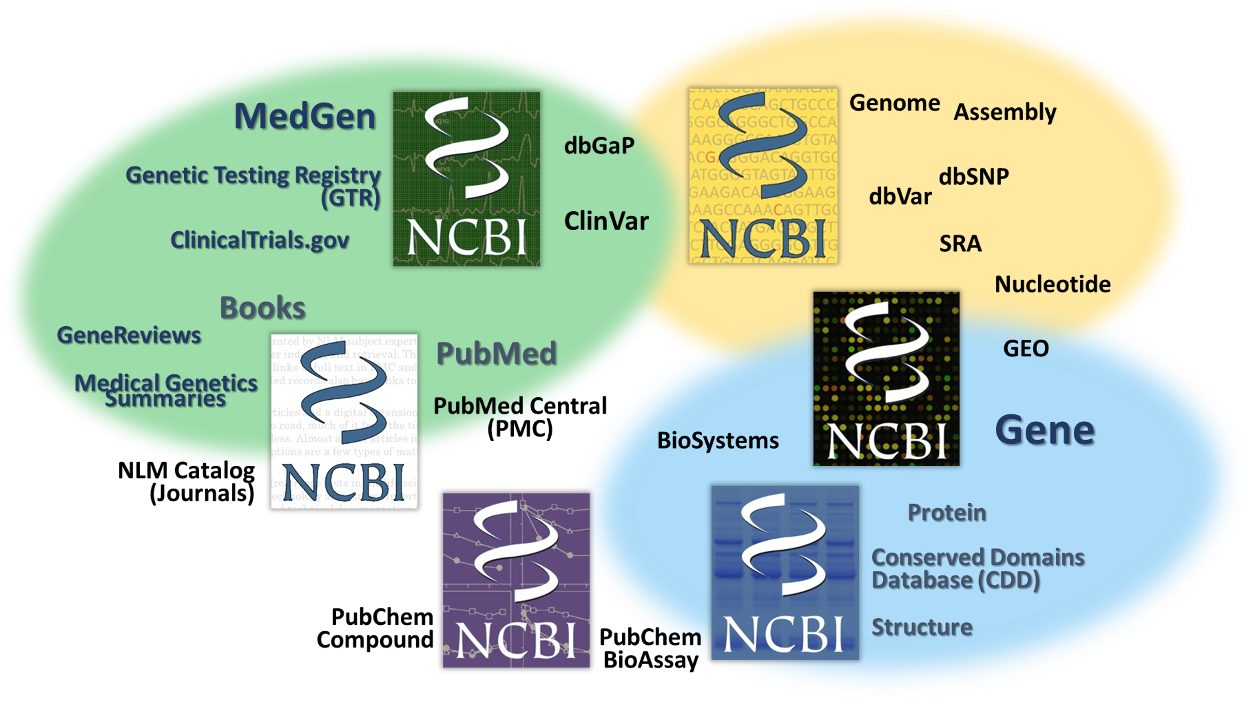 Schema of NCBI resources around major categories