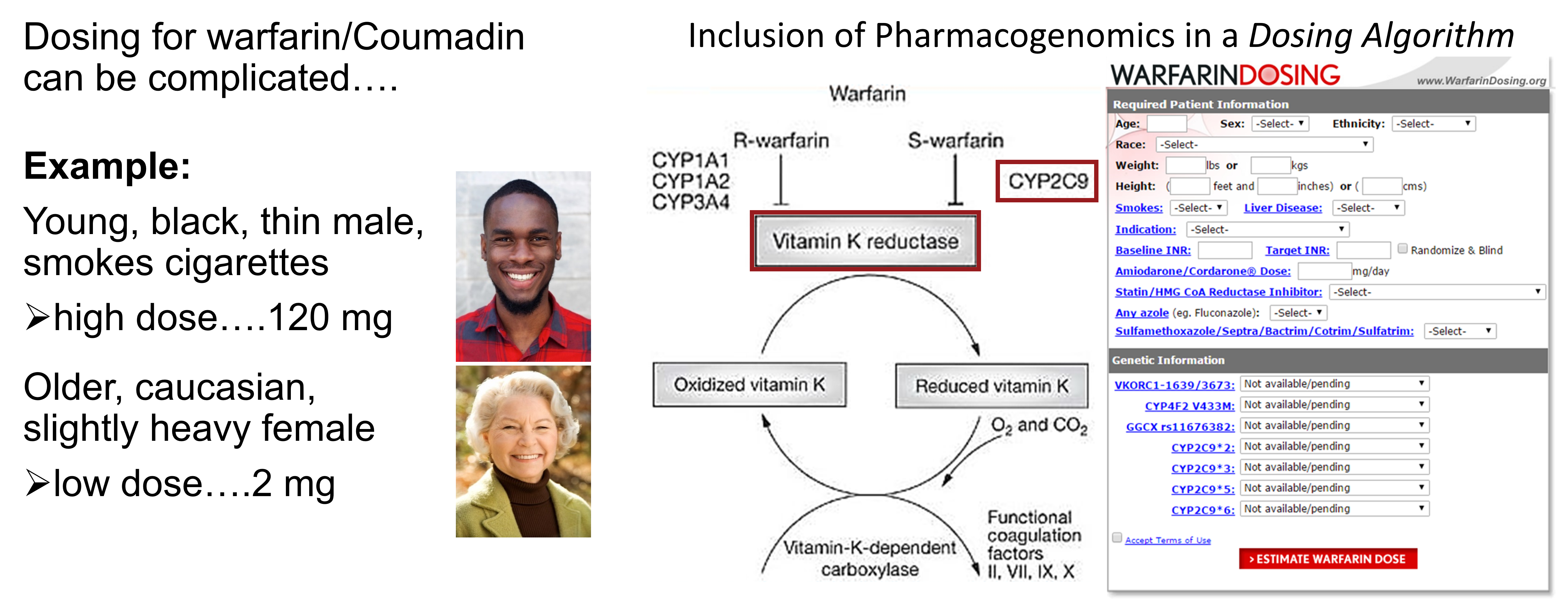 Image showing factors in warfarin dosing and an online algorithm site