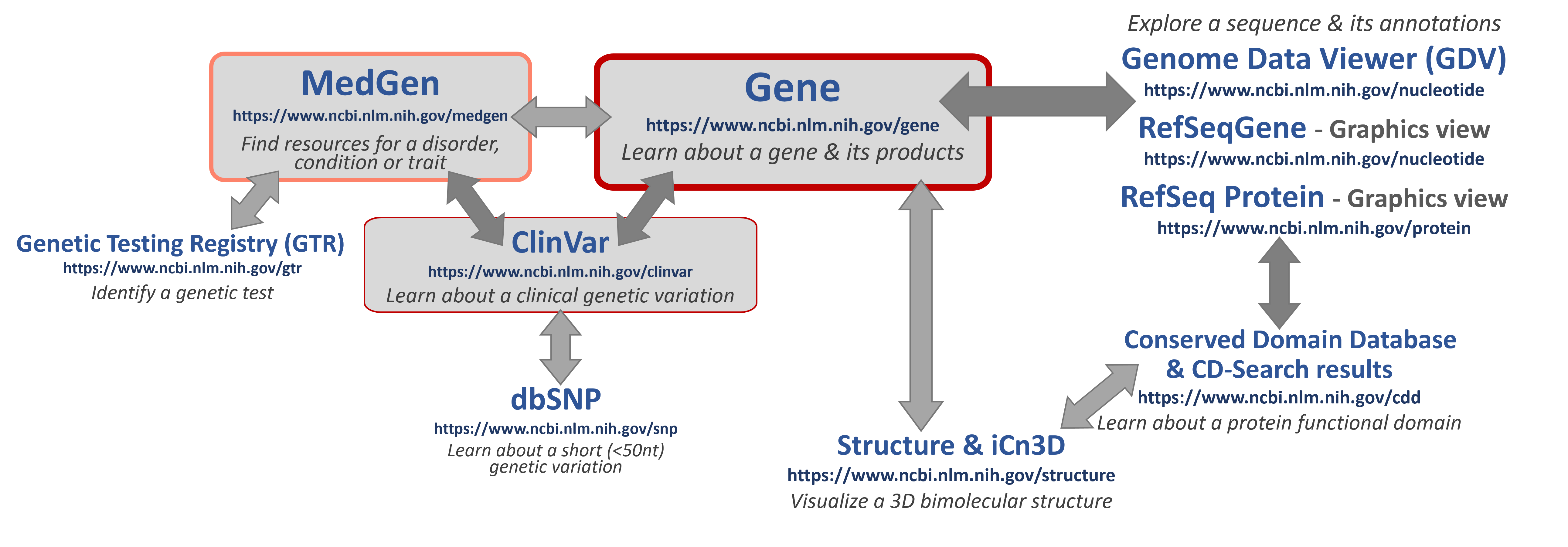 Image of helpful resources & flow for your research