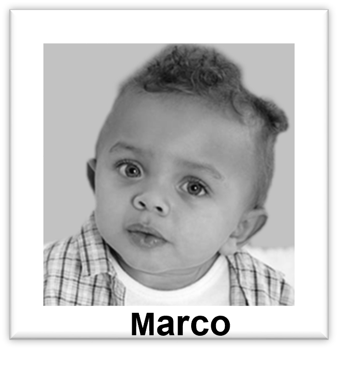 Picture of Marco