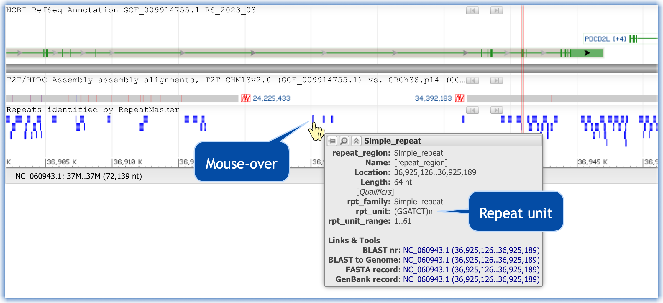 Mouse-over RepeatMasker entries to find a repeat unit