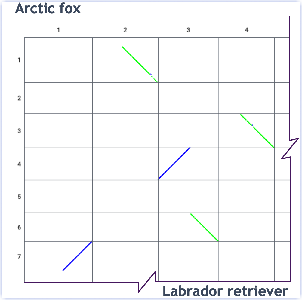 Dotplot view of arctic fox and labrador retriever