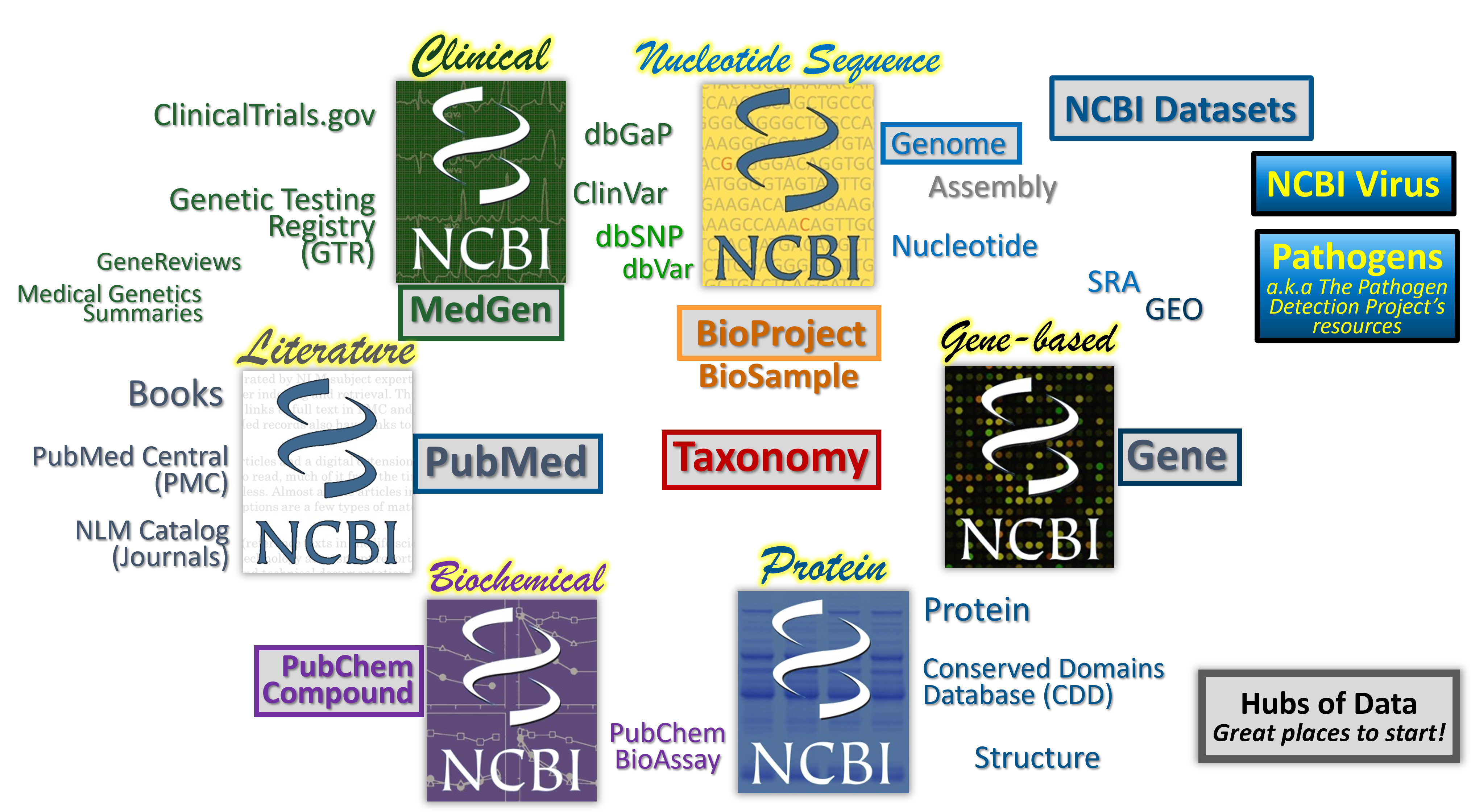 A graphic with key NCBI databases with some topic hubs indicated