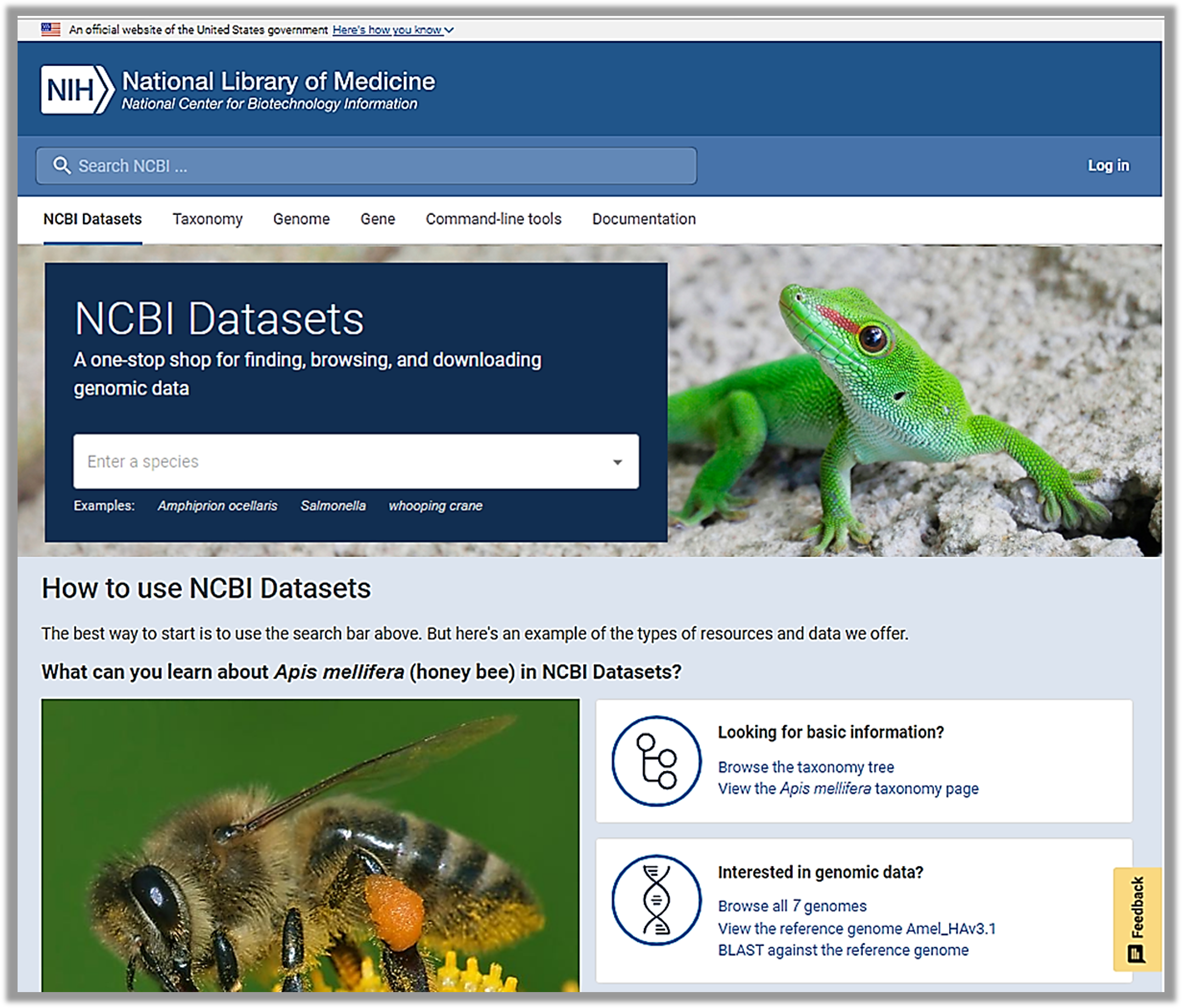 NCBI Datasets homepage
