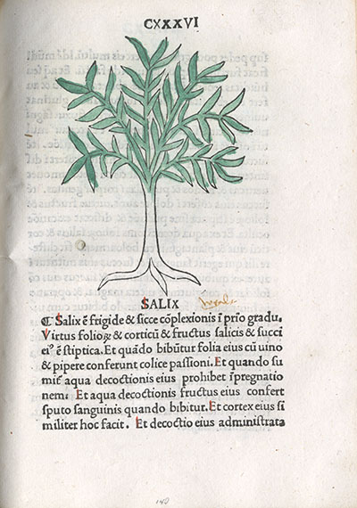 A book page showing a color illustration of a tree with text underneath.