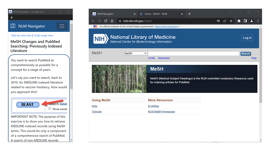 Screen setup demo showing the NLM navigator screen and Product screen side-by-side.