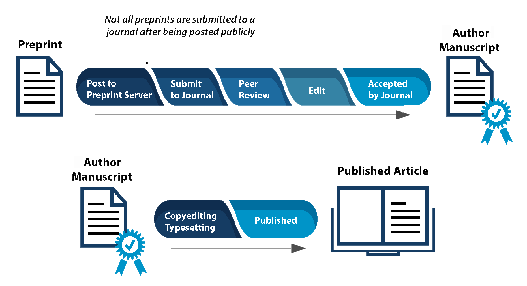 A paper's lifecycle from preprint to author manuscript to published article showing Preprint, Post to Preprint Server, Submit to Journal, Peer Review, Edit, Accepted By Journal, Author Manuscript, Copyediting Typesetting, Published Article