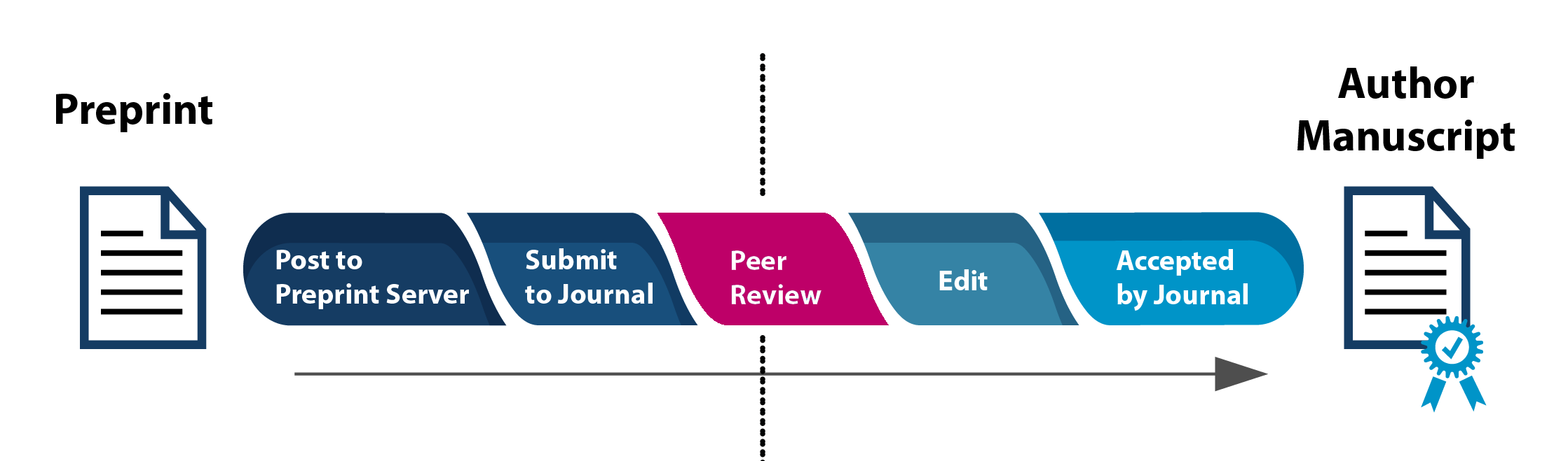 Stages of printing showing preprint to Author Manuscript with Peer Review emphasized