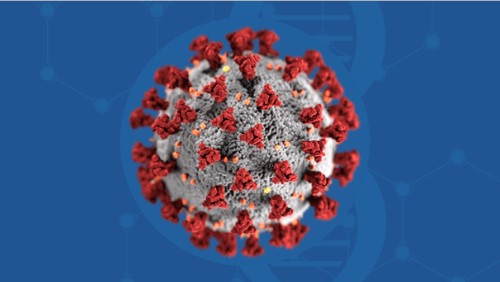 Novel Coronavirus, SARS-Cov-2 Image | National Center for Biotechnology Information (NCBI)