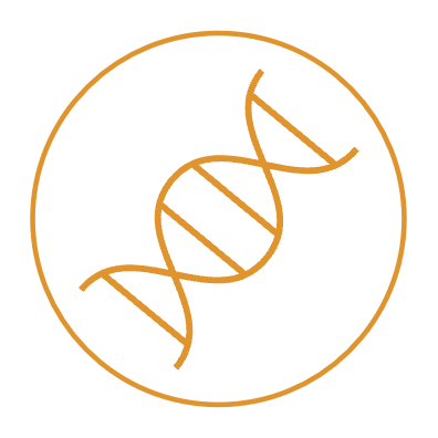 dna icon