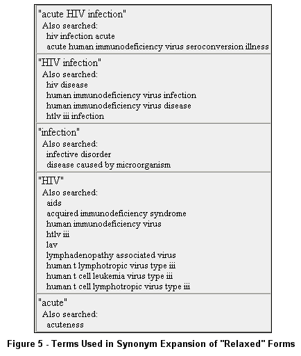 Terms Used in Synonym Expansion of Relaxed Forms