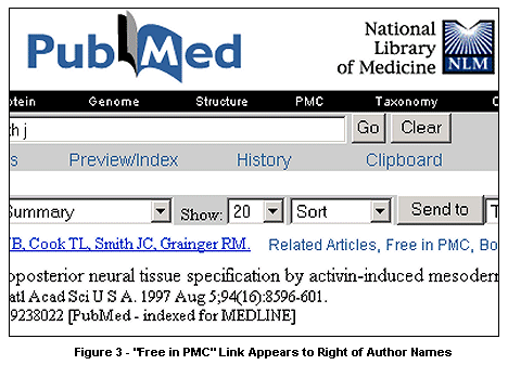Figure 3: 'Free in PMC' Link Appears to Right of Author Names