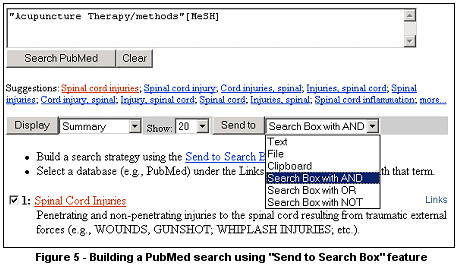 MeSH Database Search PubMed Box with Send to Search Box Displayed