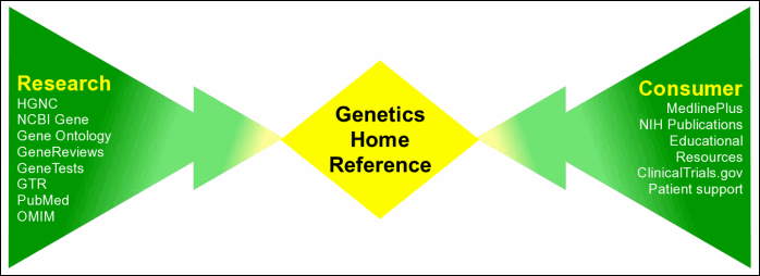 Screen capture of how GHR serves as a bridge between research and consumer resources about human genetics.